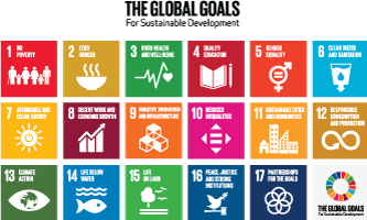 the 17 sustainable development goals